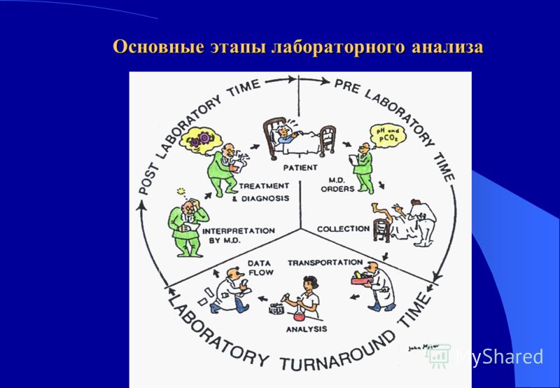 Детская городская поликлиника барановичи заказ талонов