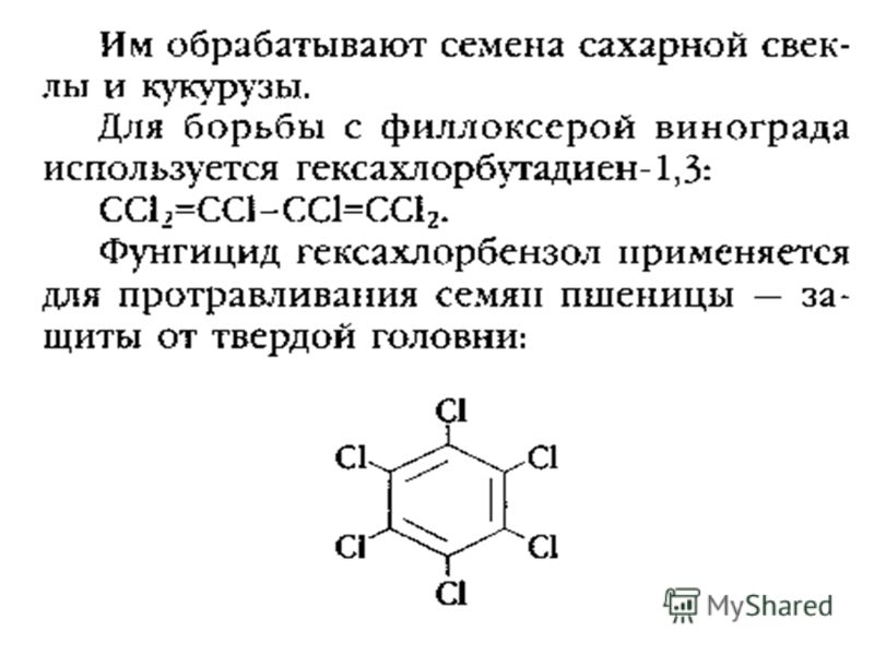 С чем связано уменьшение шляпочных грибов С чем связано уменьшение шляпочных грибов