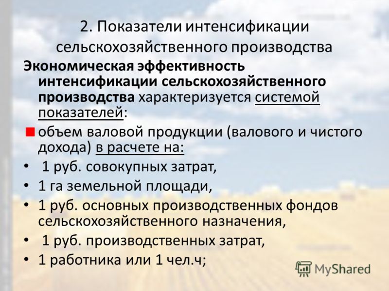 Интенсификация Производства Это