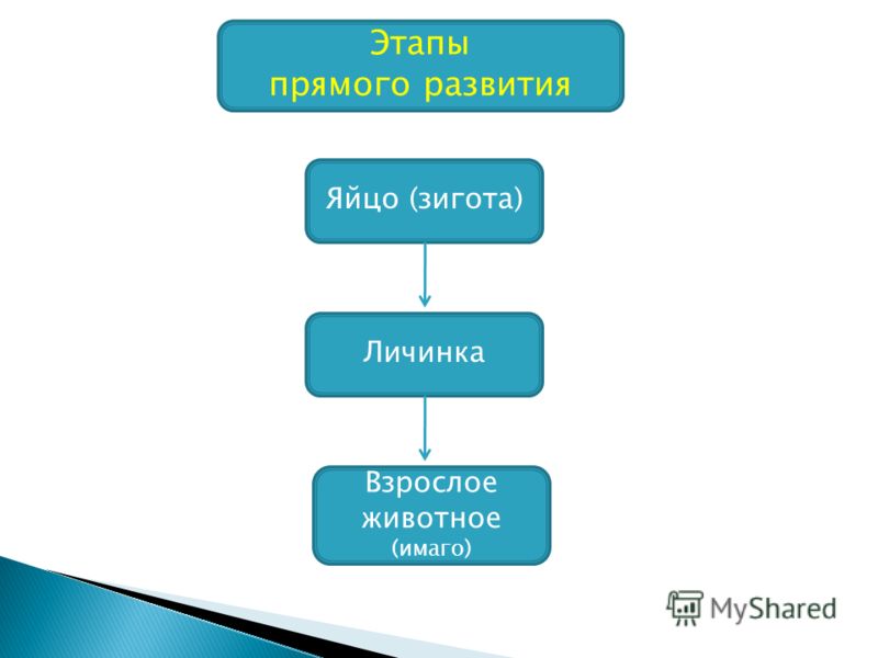 Автомобильная зарядка для телефона своими руками фото 42