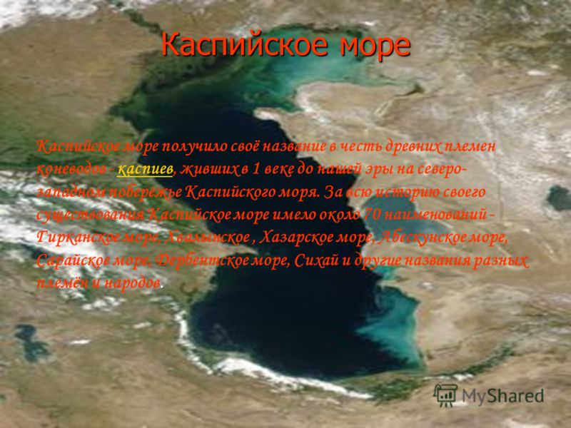 Доклад по теме Каспийское море