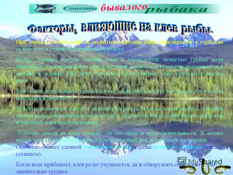 Погода пермский край чернушка
