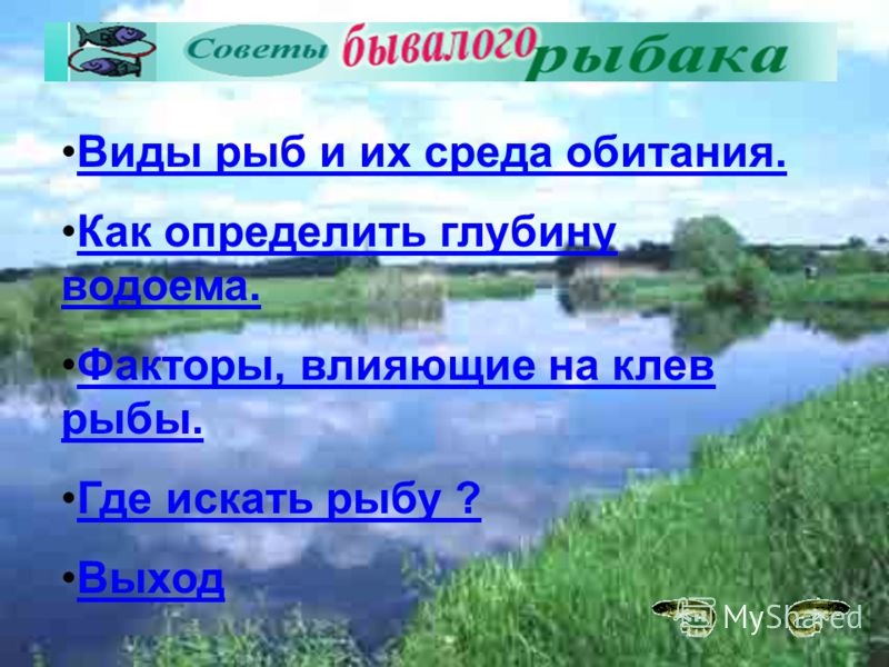 клев рыбы в елани клев рыбы в елани