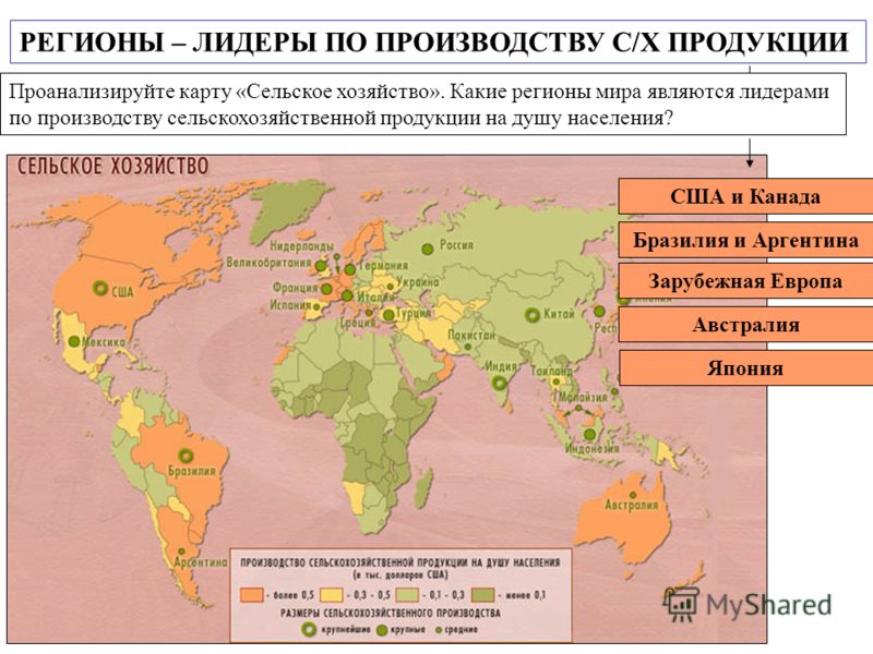 Страна мировой лидер по выращиванию хлопка Страна мировой лидер по выращиванию хлопка