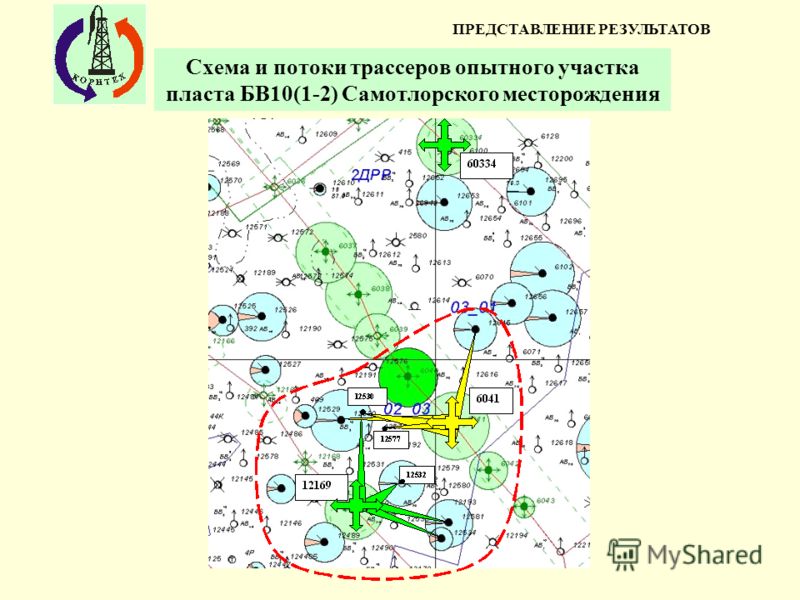 Схема самотлорского месторождения с кустами Схема самотлорского месторождения с кустами