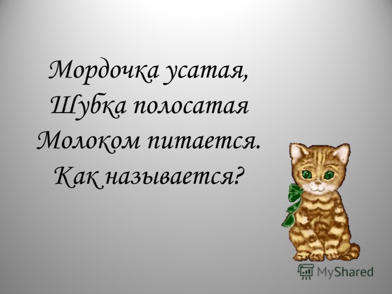 Погода воронеж на 2016 год