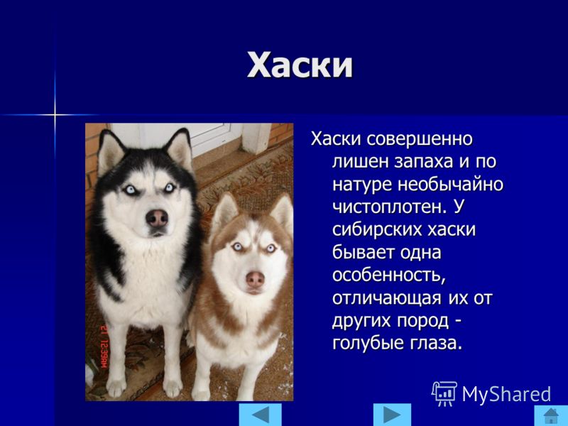 Ренджер - Военная одежда милитари: камуфляж, куртки, Топ Ганы Послеоперационный уход за детьми - Эффективная медицина