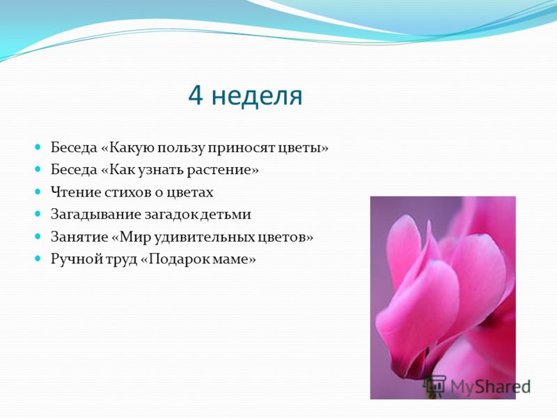 Баженов каменный цветок Баженов каменный цветок