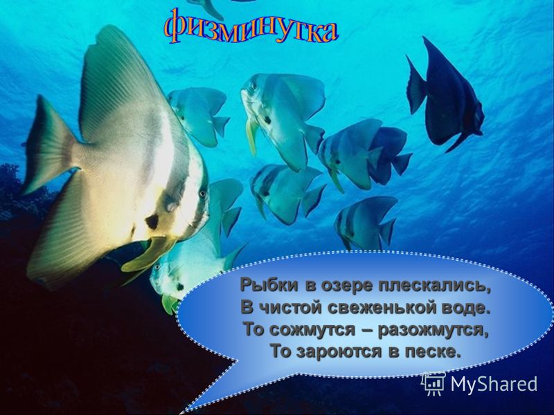 ироничные стихи про рыбу