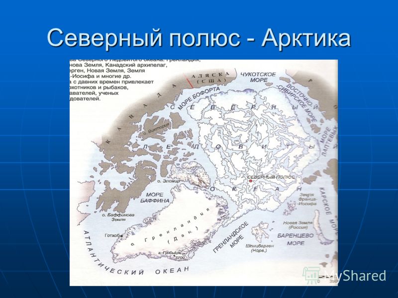 Стих северный полюс Стих северный полюс
