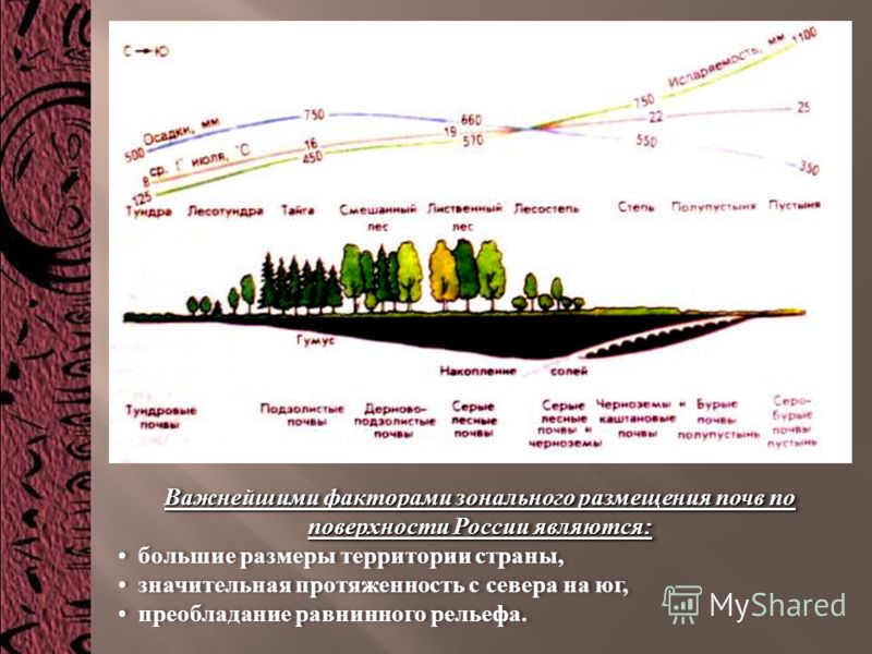 Важнейшими факторами зонального размещения почв по поверхности России являются : большие размеры территории страны, значительная протяженность с севера на юг, преобладание равнинного рельефа. Важнейшими факторами зонального размещения почв по поверхн