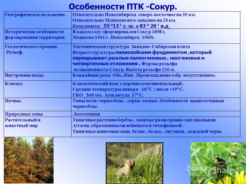 Презентация на тему: "Высотная поясность. 1.Что такое ПТК? 2.Кто является осново