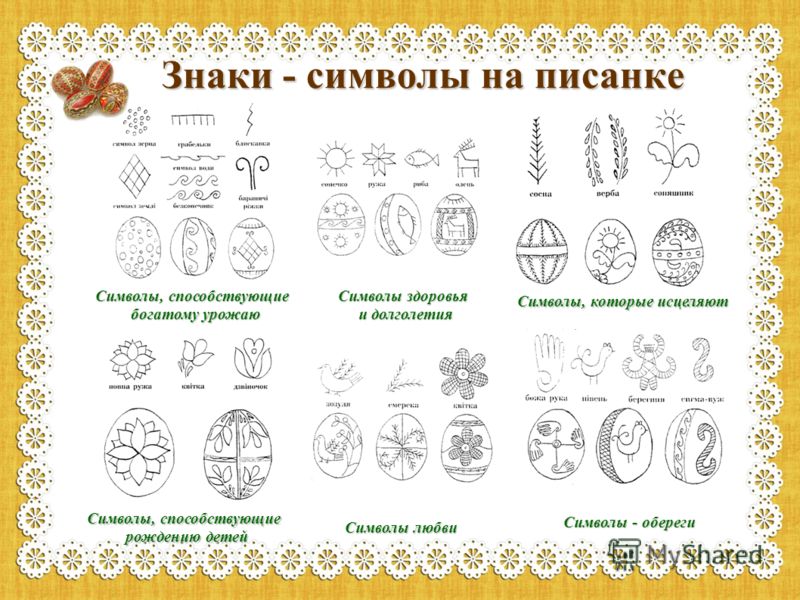 http://images.myshared.ru/4/324089/slide_11.jpg