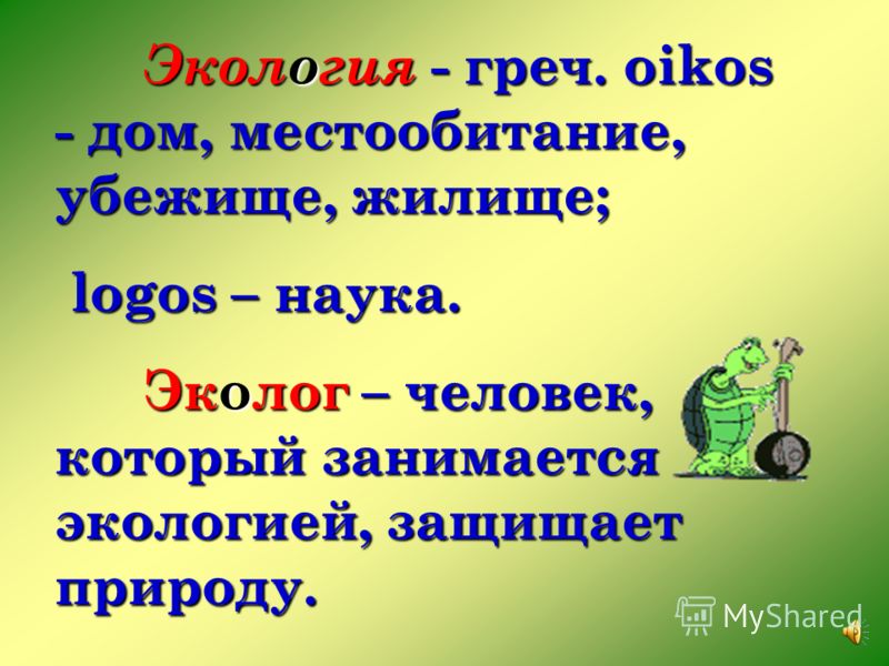 Картинки экология природа вокруг нас Картинки экология природа вокруг нас
