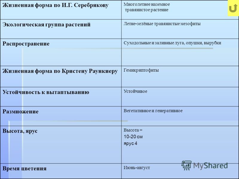 Презентация на тему: "Размножение споровых растений. ". Скачать бесплатно и без