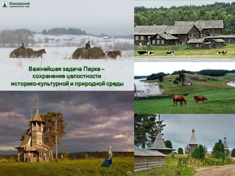 Кенозерский национальный парк проект 3 класс Кенозерский национальный парк презентация
