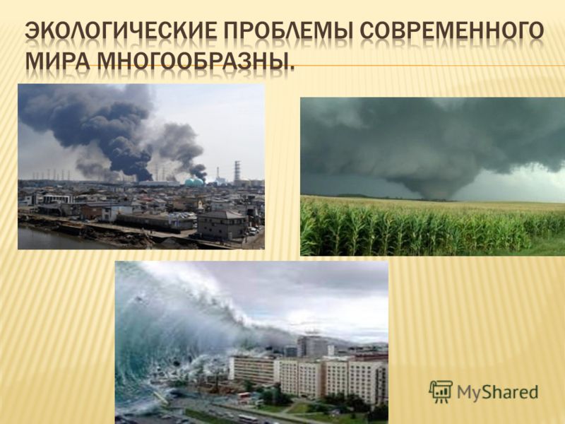 Катастрофы связанные с загрязнением о Катастрофы связанные с загрязнением о