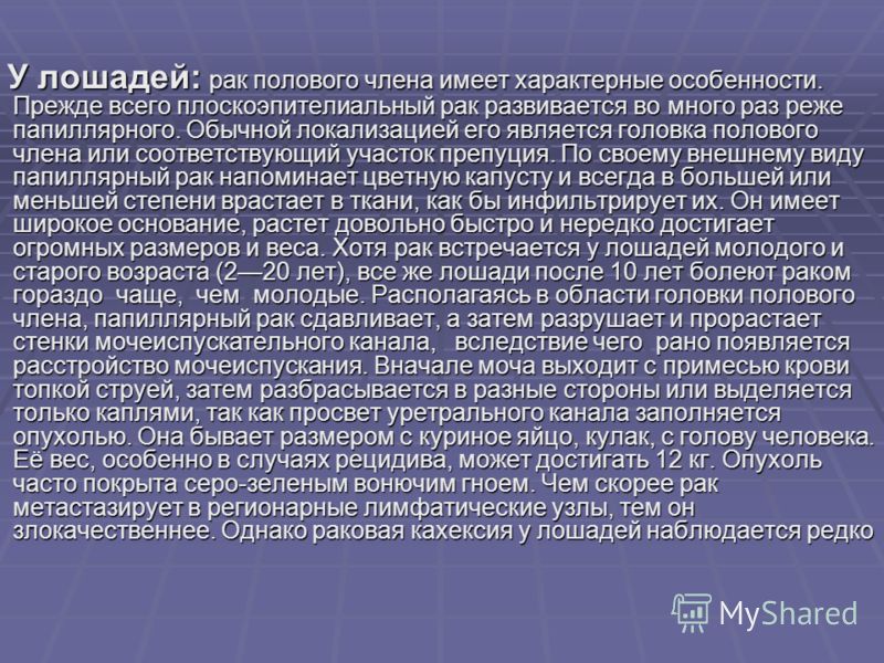Рак половых органов как он физически выглядит