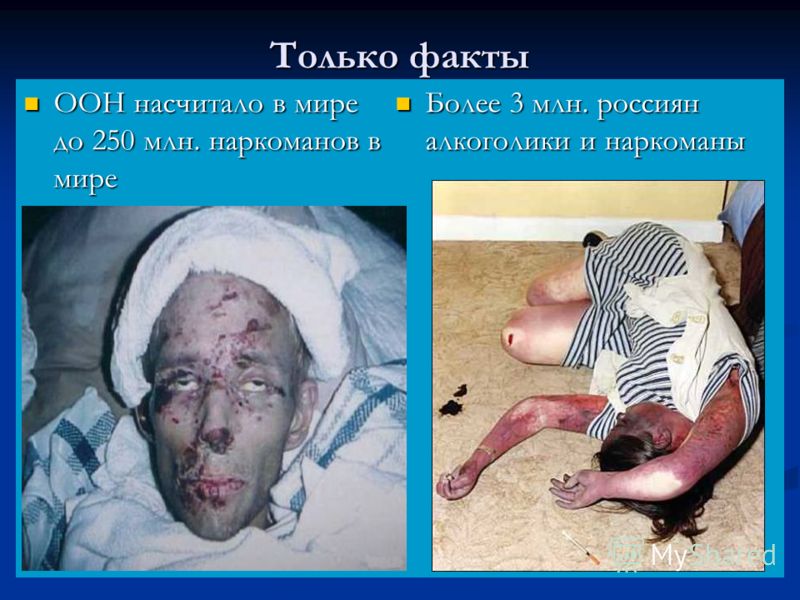 Каждый день пить вино это алкоголизм