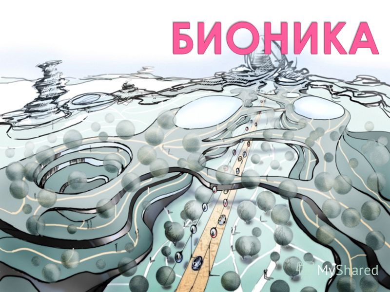 Биологический дизайн Биологический дизайн