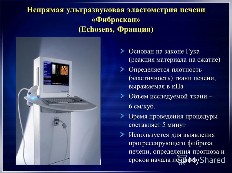 стервы сколько стоит эластография печени в краснодаре отсос зрелых