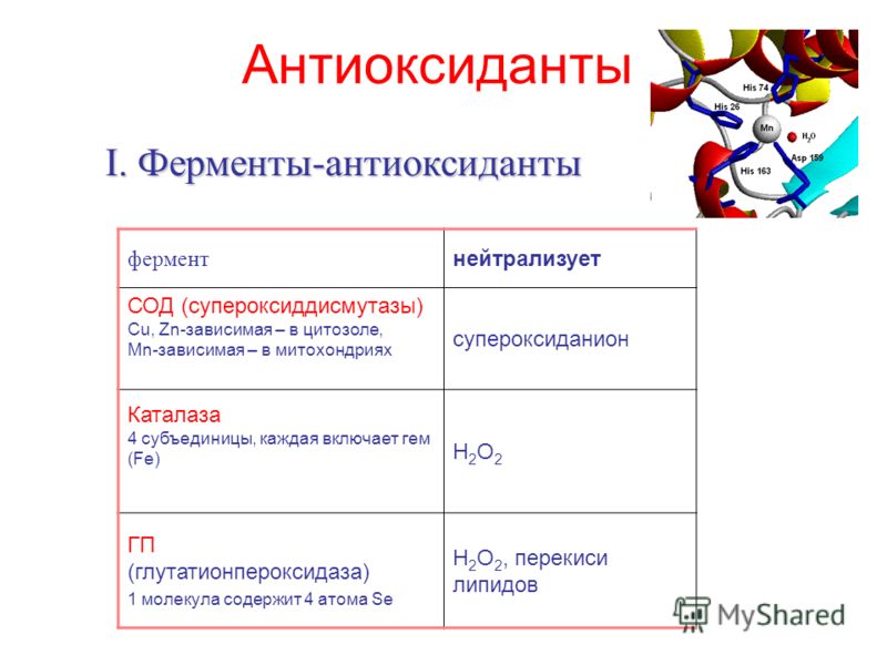 Антиоксиданты I. Ферменты-антиоксиданты фермент нейтрализует СОД (супероксиддисмутазы) Cu, Zn-зависимая – в цитозоле, Mn-зависимая – в митохондриях супероксиданион Каталаза 4 субъединицы, каждая включает гем (Fe) H2O2H2O2 ГП (глутатионпероксидаза) 1 