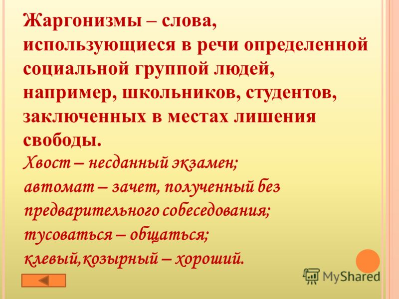 Крутые яхты от известных архитекторов рекомендации Крутые яхты от известных архитекторов рекомендации