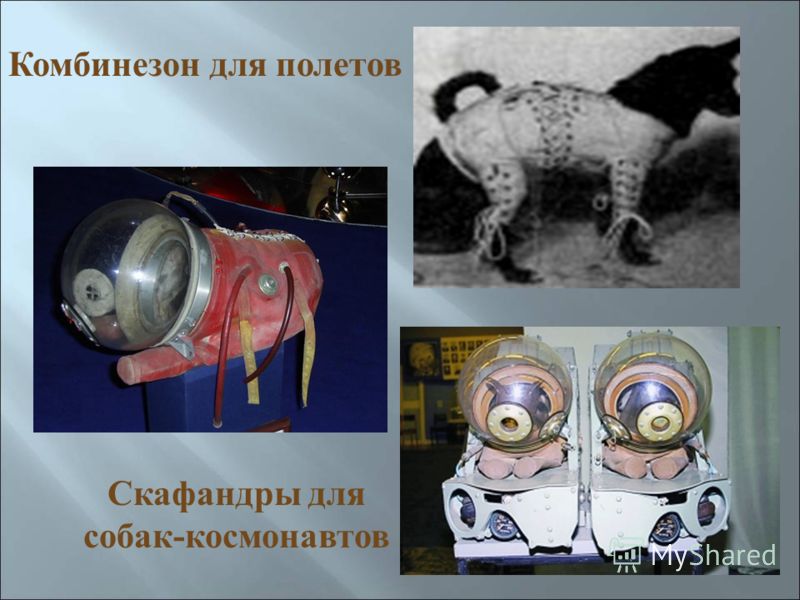 Комбинезон для полетов Скафандры для собак - космонавтов