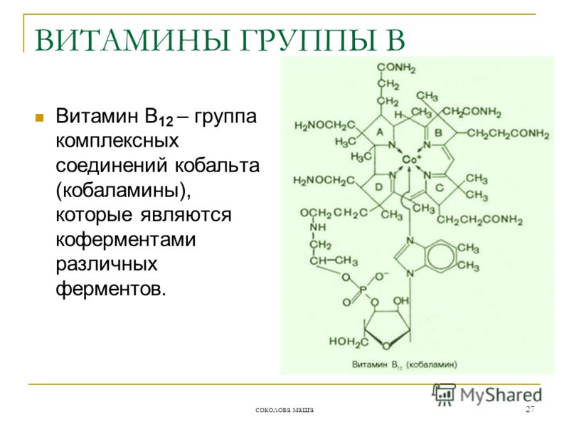соколова маша 27 Витамин В 12 – группа комплексных соединений кобальта (кобаламины), которые являются коферментами различных ферментов. ВИТАМИНЫ ГРУППЫ В