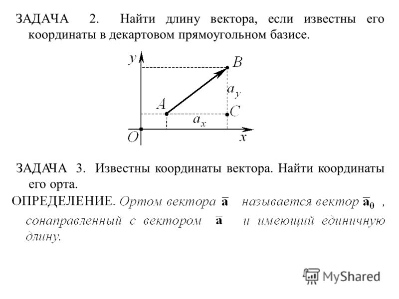 Как найти ординату точки вектора Как найти ординату точки вектора