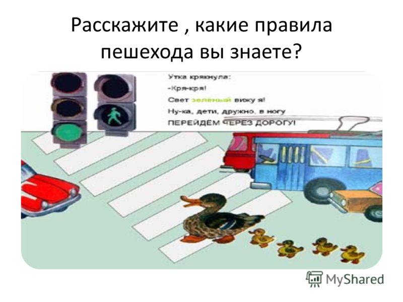 Расскажите, какие правила пешехода вы знаете?