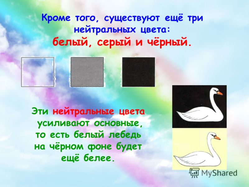 Кроме того, существуют ещё три нейтральных цвета: белый, серый и чёрный. Эти нейтральные цвета усиливают основные, то есть белый лебедь на чёрном фоне будет ещё белее.