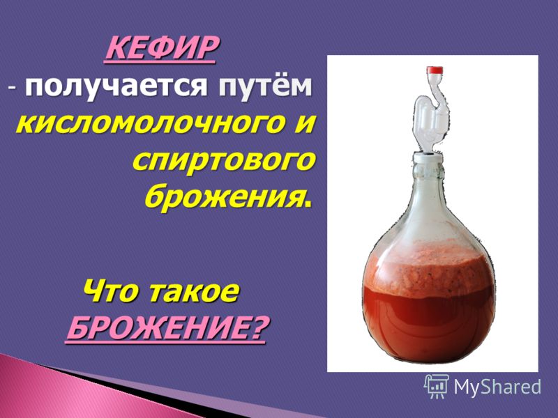 Что такое БРОЖЕНИЕ? КЕФИР - получается путём кисломолочного и спиртового брожения.