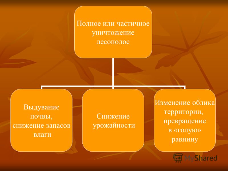 Полки для цветов своими руками. Настенные и напольные Полки для цветов своими руками. Настенные и напольные