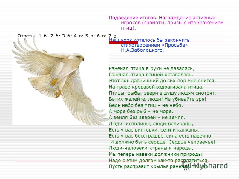 Стих заболоцкого птицы Стих заболоцкого птицы