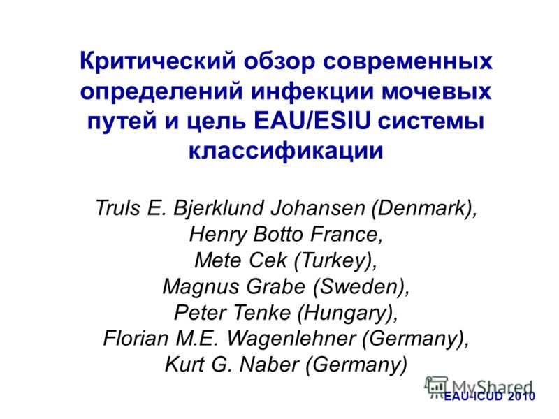 Критический обзор современных определений инфекции мочевых путей и цель EAU/ESIU системы классификации Truls E. Bjerklund Johansen (Denmark), Henry Botto France, Mete Cek (Turkey), Magnus Grabe (Sweden), Peter Tenke (Hungary), Florian M.E. Wagenlehne