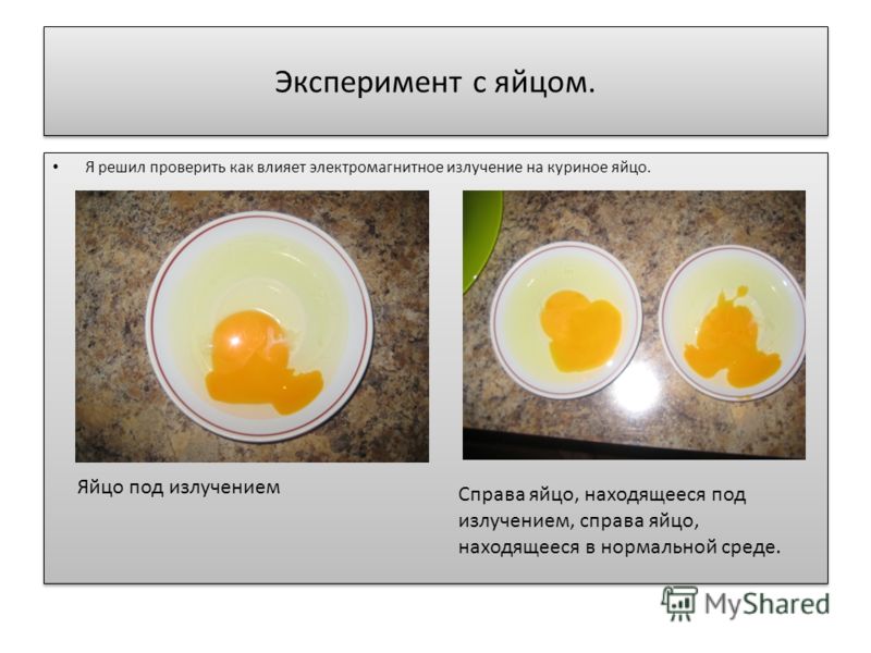 Эксперимент с яйцом. Я решил проверить как влияет электромагнитное излучение на куриное яйцо. Яйцо под излучением Справа яйцо, находящееся под излучением, справа яйцо, находящееся в нормальной среде.
