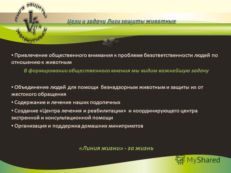 Канализация в частном загородном доме своими руками Как сделать костюм Кошки своими руками - ФОТО