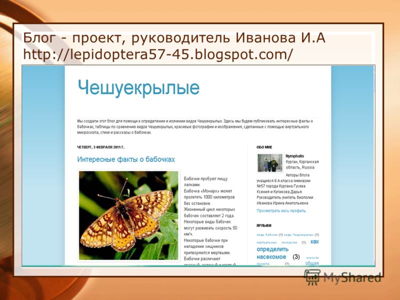 Блог - проект, руководитель Иванова И.А http://lepidoptera57-45.blogspot.com/