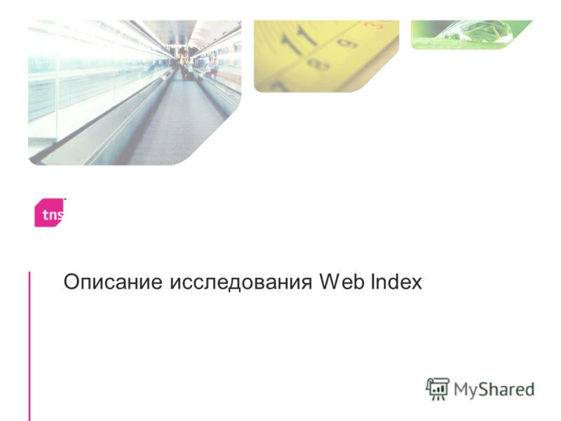 Описание исследования Web Index