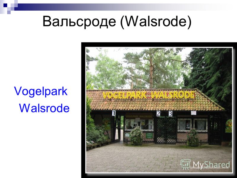 Вальсроде (Walsrode) Vogelpark Walsrode