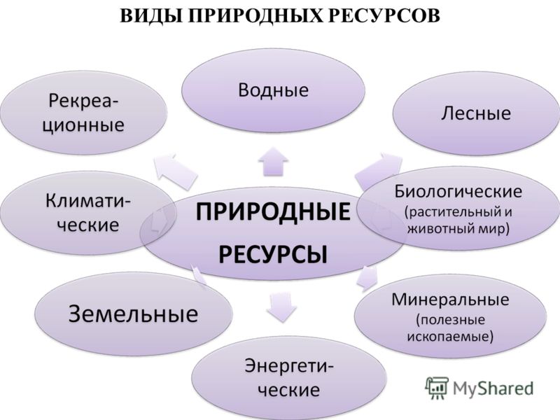 Реферат по теме Экономическая оценка минерально-ресурсного потенциала России