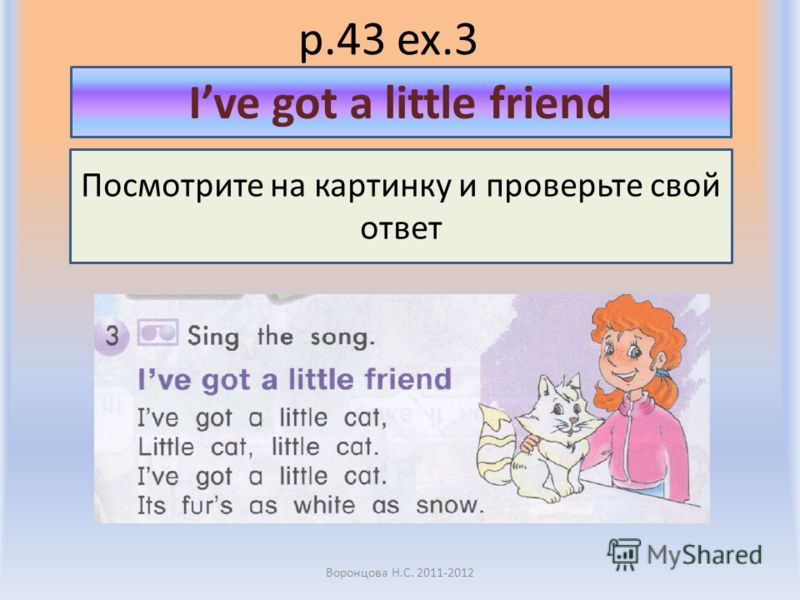 p.43 ex.3 Воронцова Н.С. 2011-2012 Посмотрите на картинку и проверьте свой ответ Ive got a little friend
