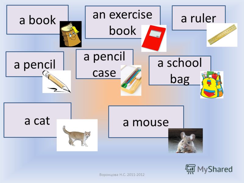 a book an exercise book a ruler a pencil a pencil case a school bag a cat a mouse