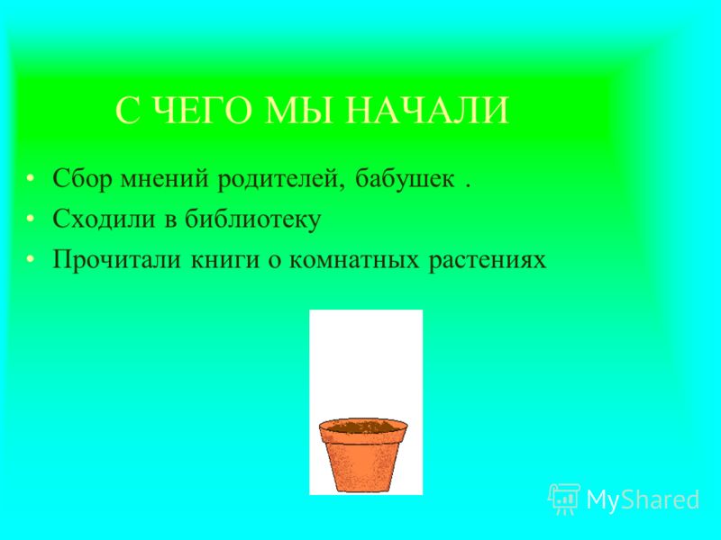 Скачать бесплатно книгу о домашних цветах