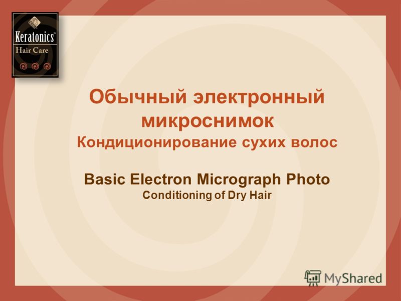 Обычный электронный микроснимок Кондиционирование сухих волос Basic Electron Micrograph Photo Conditioning of Dry Hair