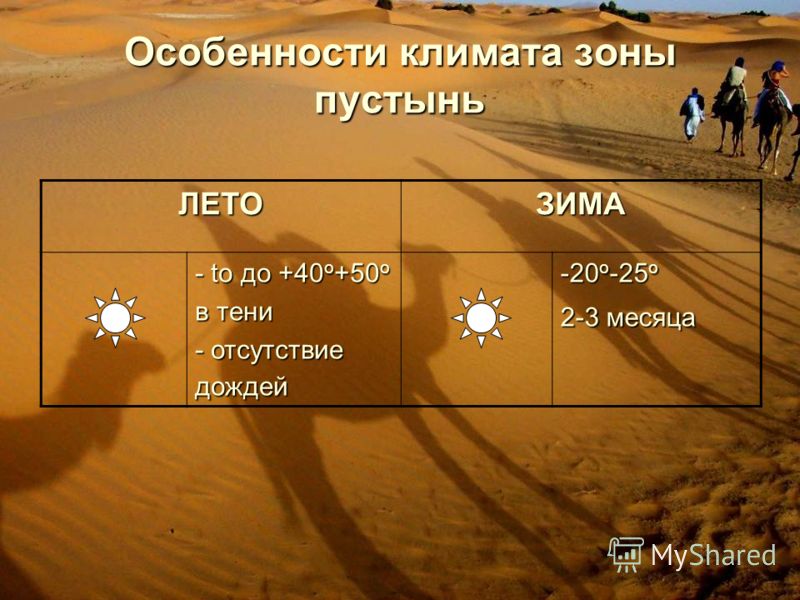 Особенности климата зоны пустынь ЛЕТОЗИМА - to до +40 о +50 о в тени - отсутствие дождей -20 о -25 о 2-3 месяца