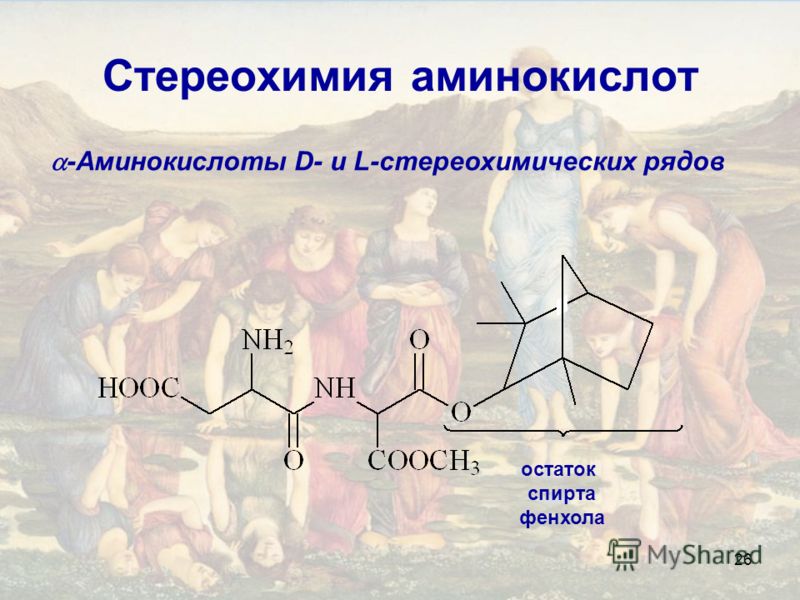 26 Стереохимия аминокислот -Аминокислоты D- и L-стереохимических рядов остаток спирта фенхола