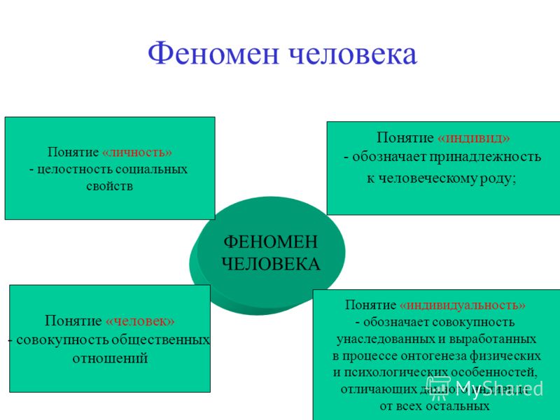 Что такое целостность отношения Что такое целостность отношения
