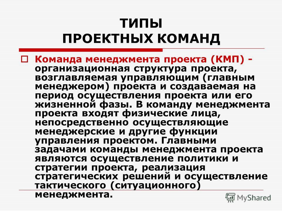 Организационная структура проекта создаваемая на период